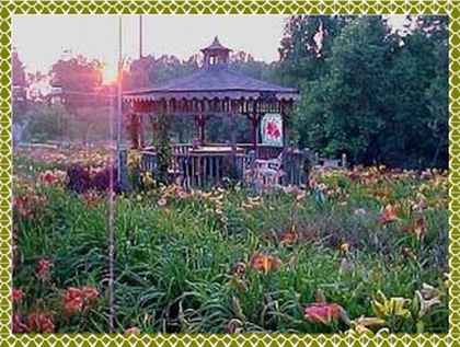 Wrights Daylily Garden Perennial Nursery Choice Varieties And Colors Garden