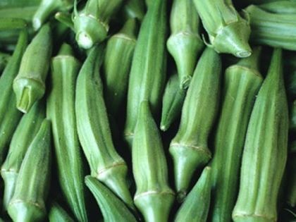 Clemson Spineless Okra