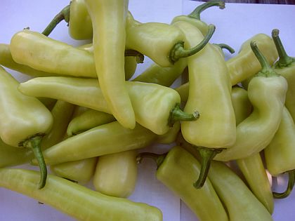 Sweet Banana Pepper